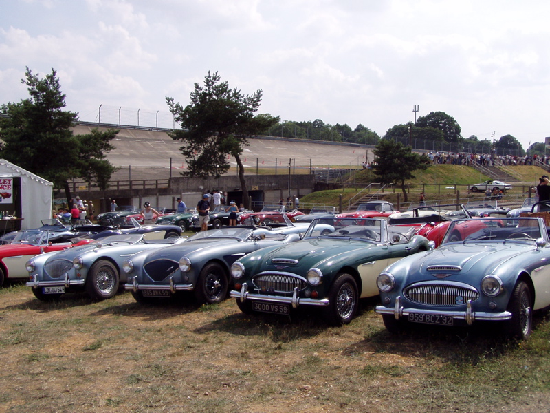 Brochette de Austin Healey
