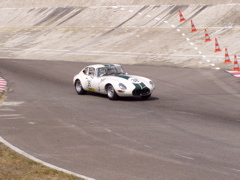 Jaguar blanche dans la chicane